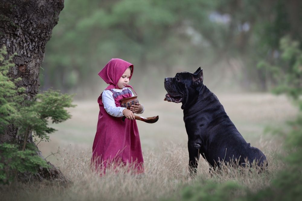 Photograph by Заручевская Надежда