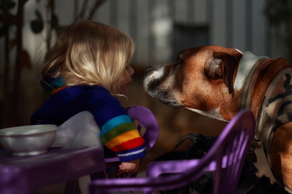 Фотография автора Hayim Romanovsky