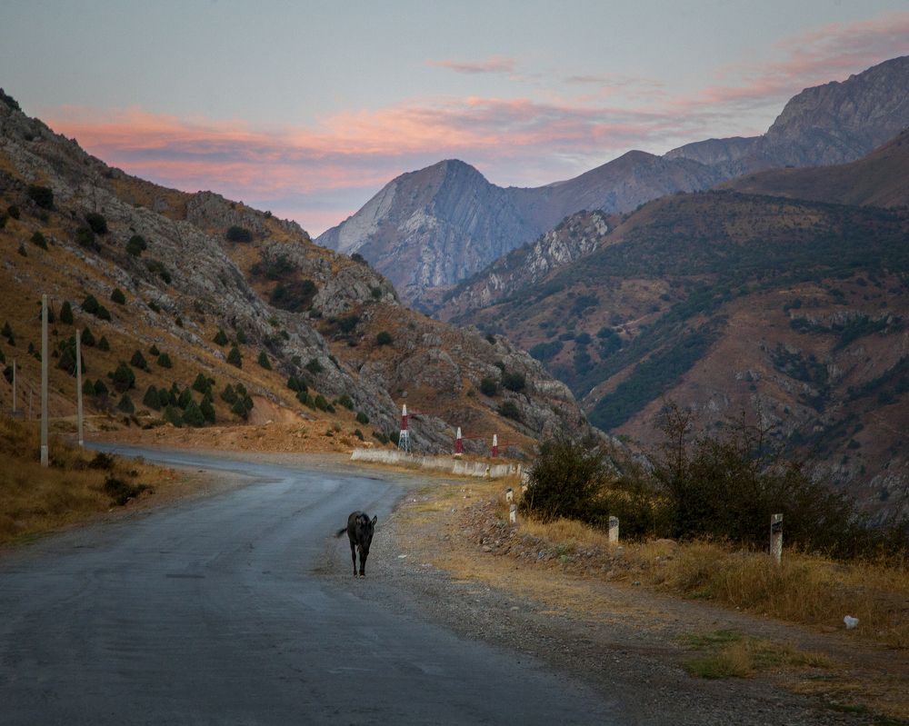 Photograph by Дмитрий Черепков