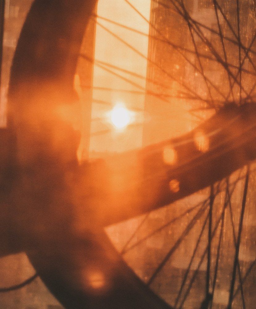 Фотография автора Елена Маслова