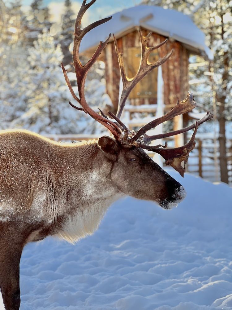 Photograph by Полина Петрова