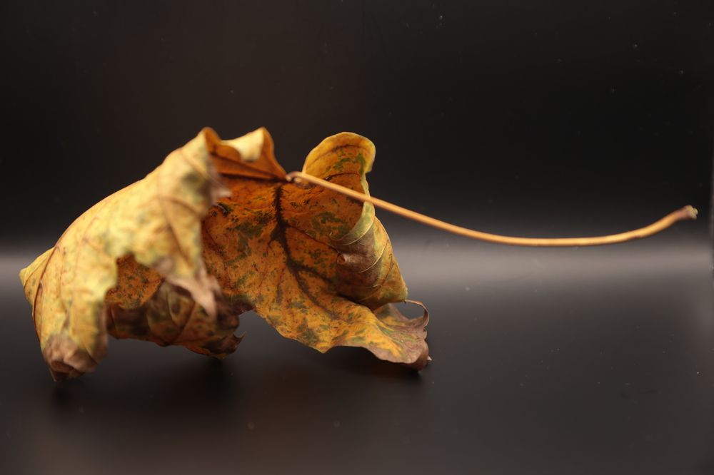 Photograph by Денис Володин