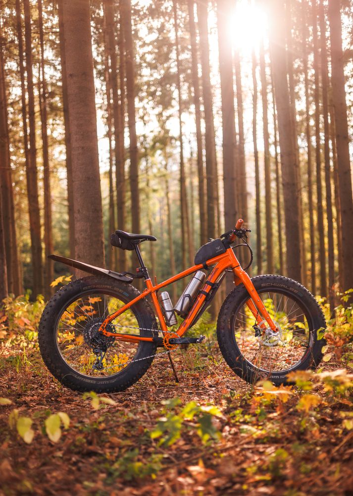 Фотография автора Гарбузов Илья