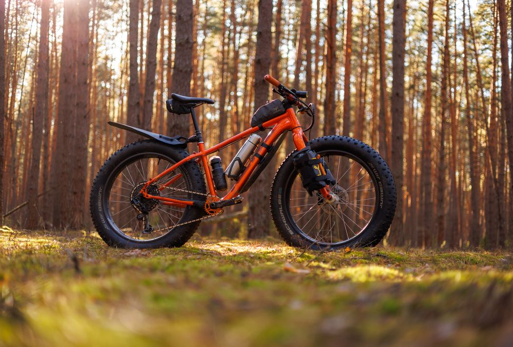 Фотография автора Гарбузов Илья