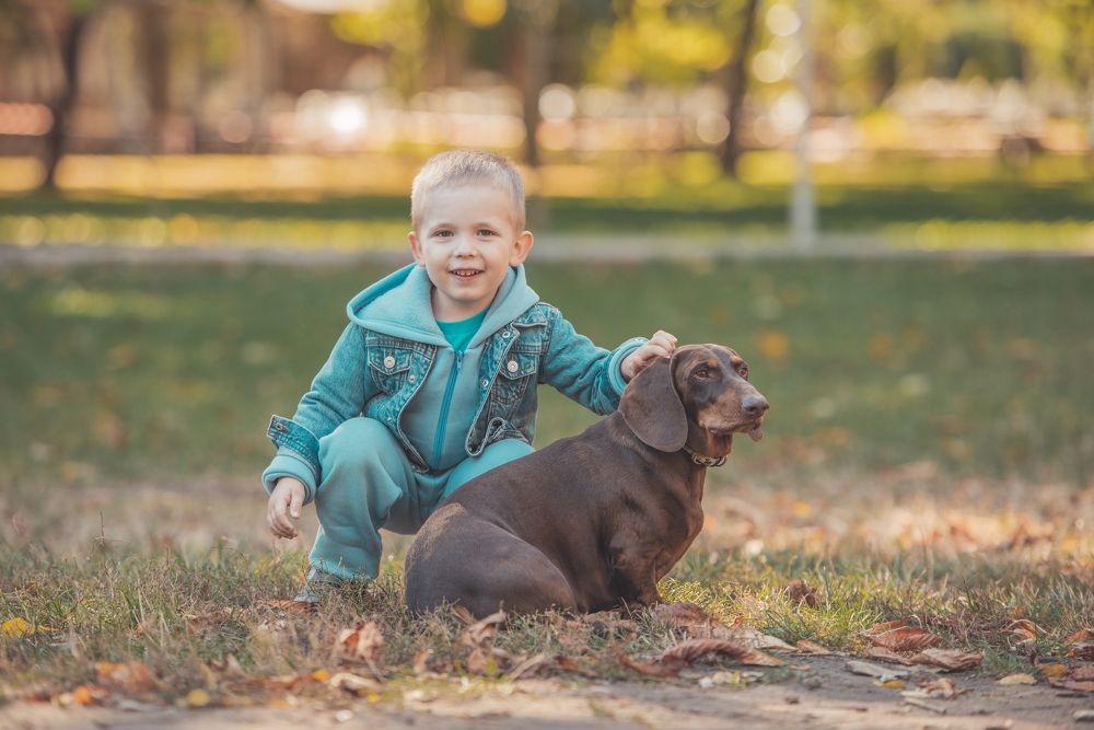 Фотография автора Ольга Тенилова