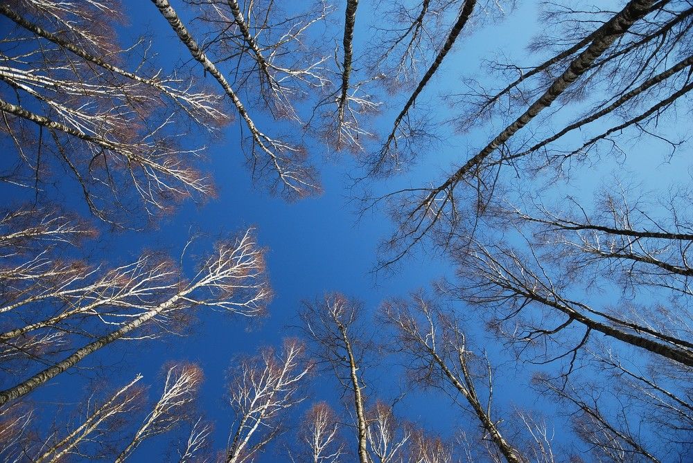 Photograph by Юрий Яковлев