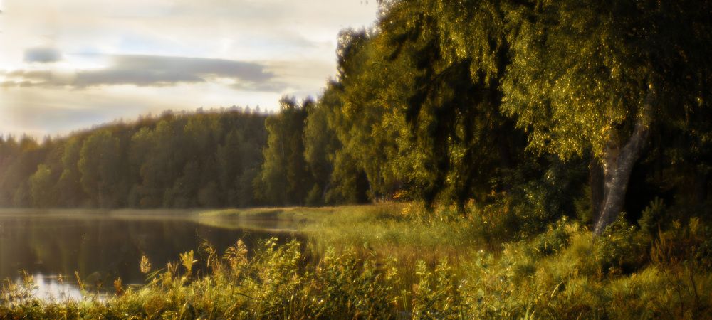 Photograph by Валентина Рошка