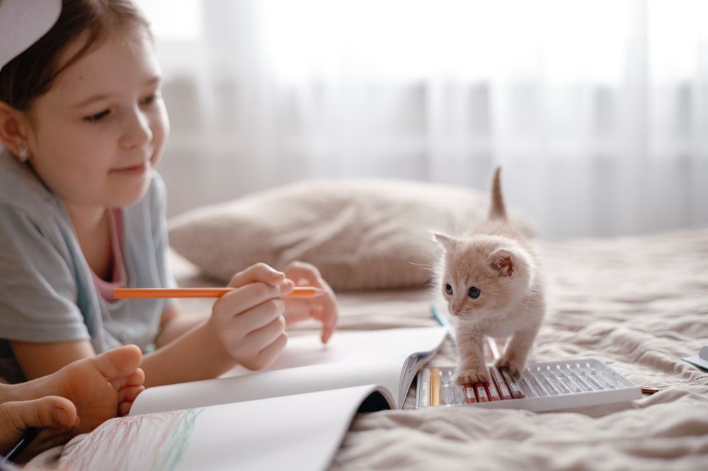 Photograph by Полина Петрова