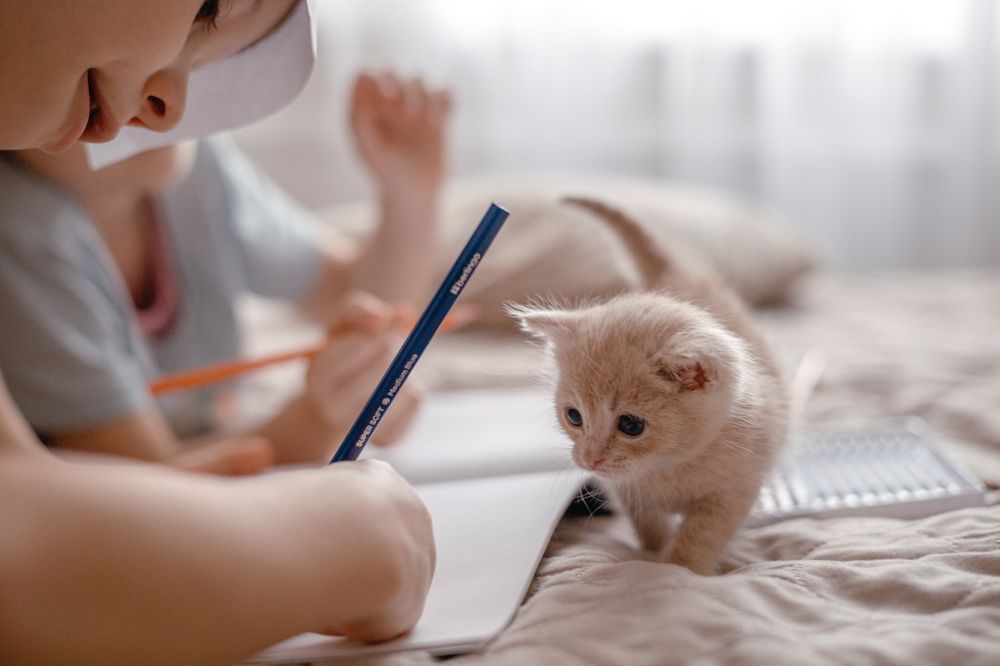 Photograph by Полина Петрова