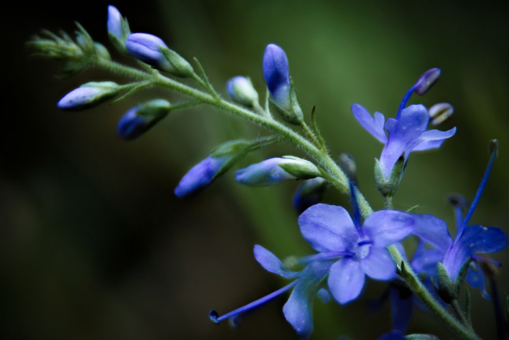 Photograph by Татьяна Романова