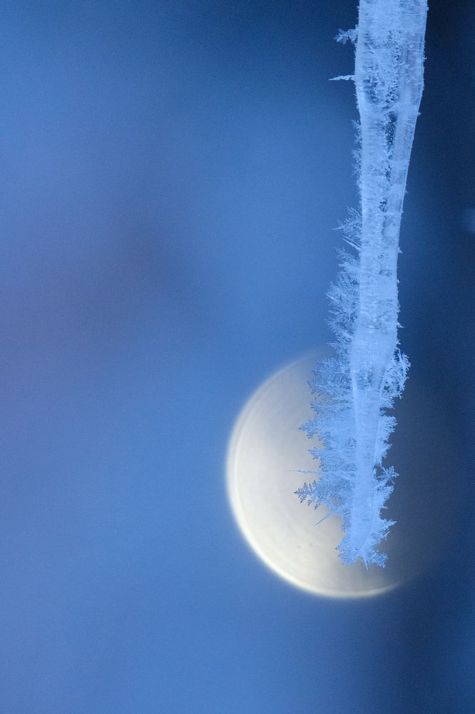 Фотография автора Александр Высоцкий