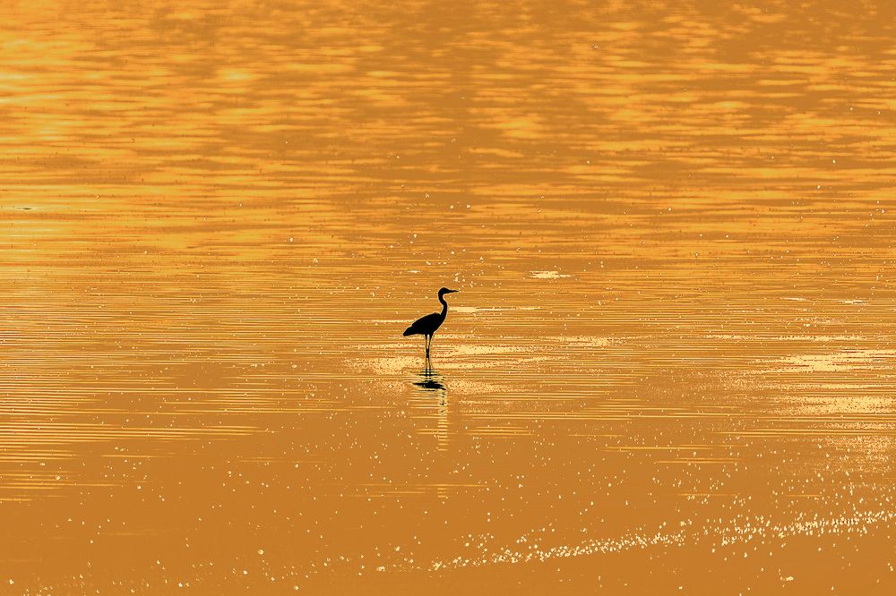 Photograph by Andrey Anikanov