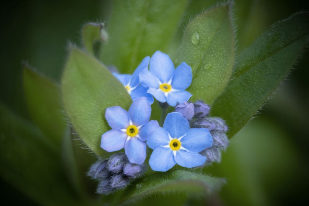 Photograph by Татьяна Романова
