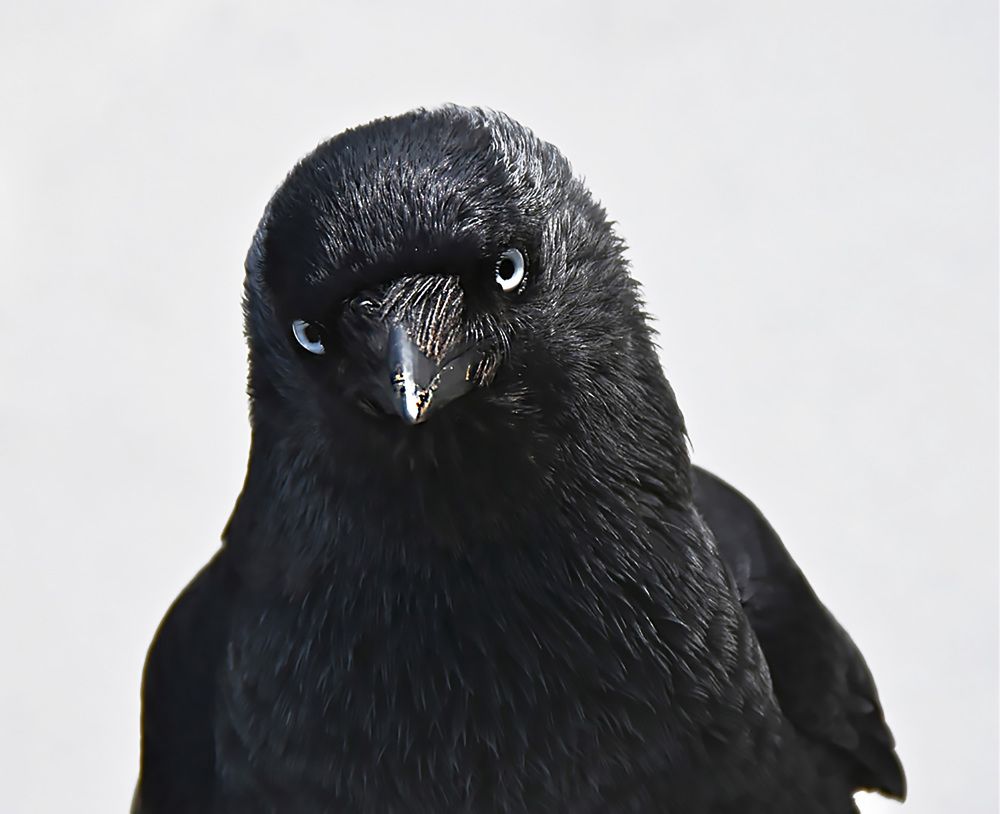 Photograph by Marjo Steffen