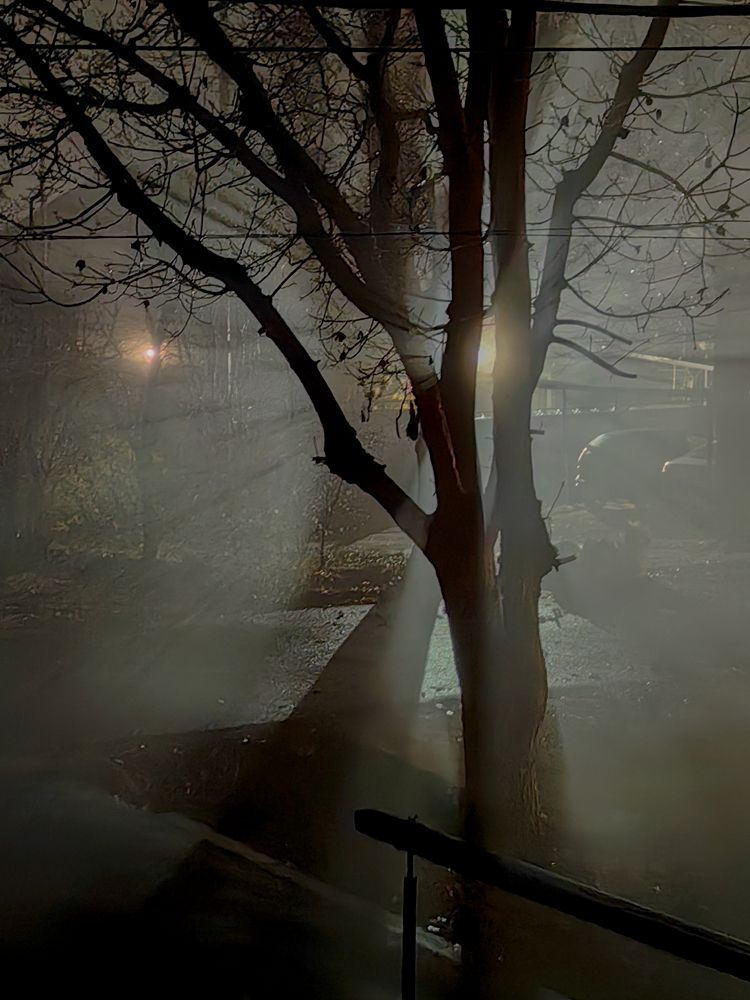 Photograph by Igor M.