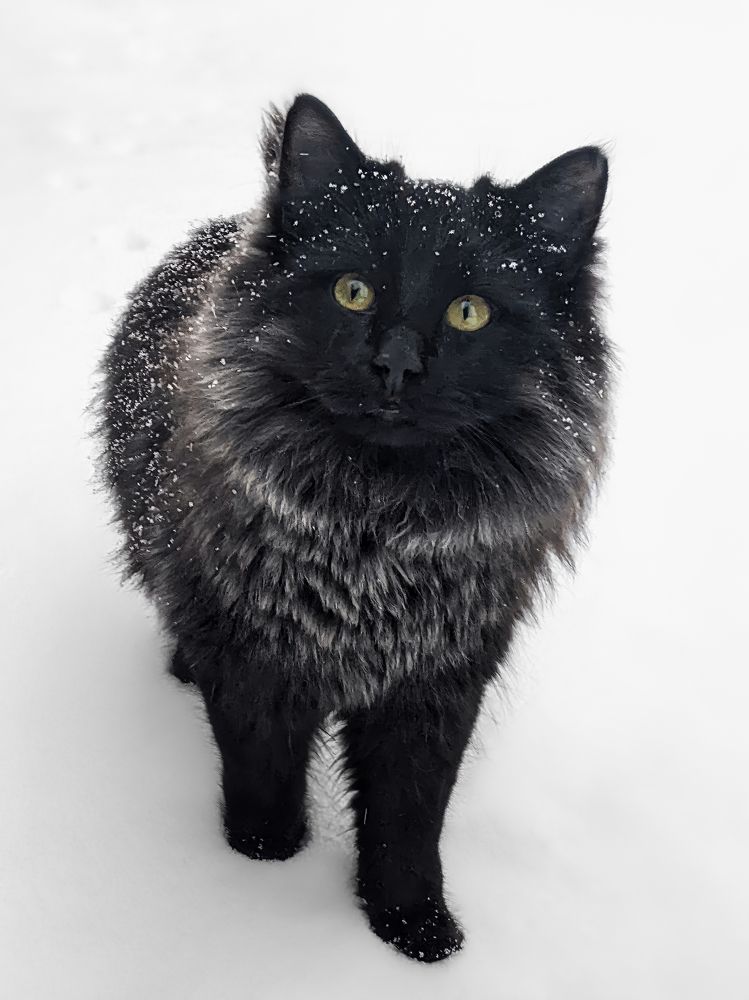 Photograph by Дудников Александр