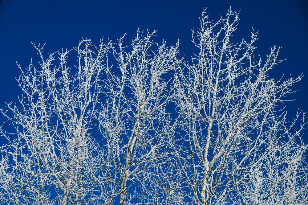 Photograph by Александра Судьбина