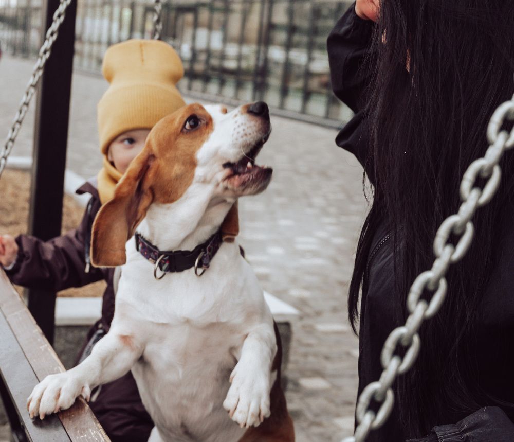 Photograph by Елена Орехова