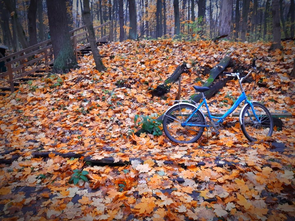 Photograph by Екатерина