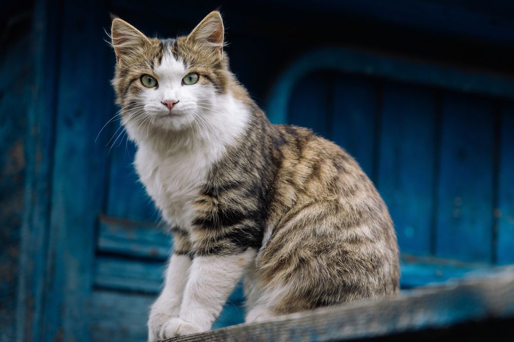 Photograph by Вертиков Юрий