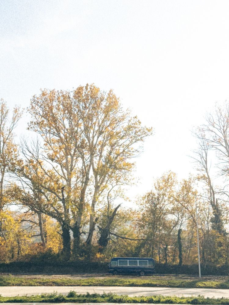 Photograph by Анна Голубцова