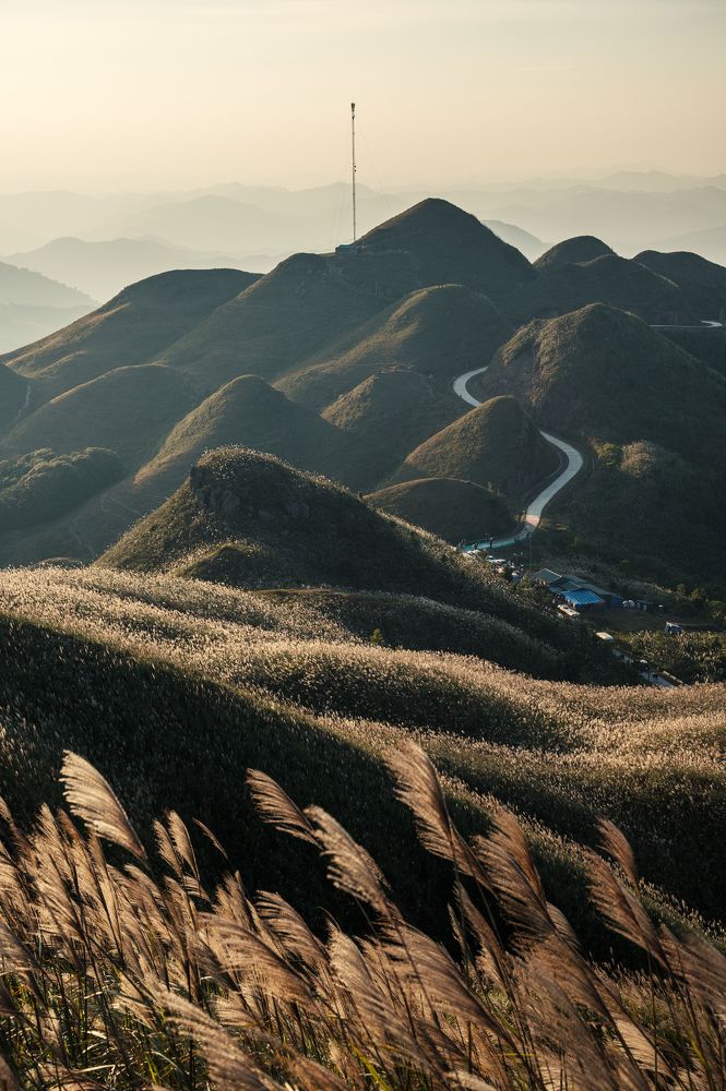 Photograph by Dũng Mạnh “Kuuhaku” Nguyễn