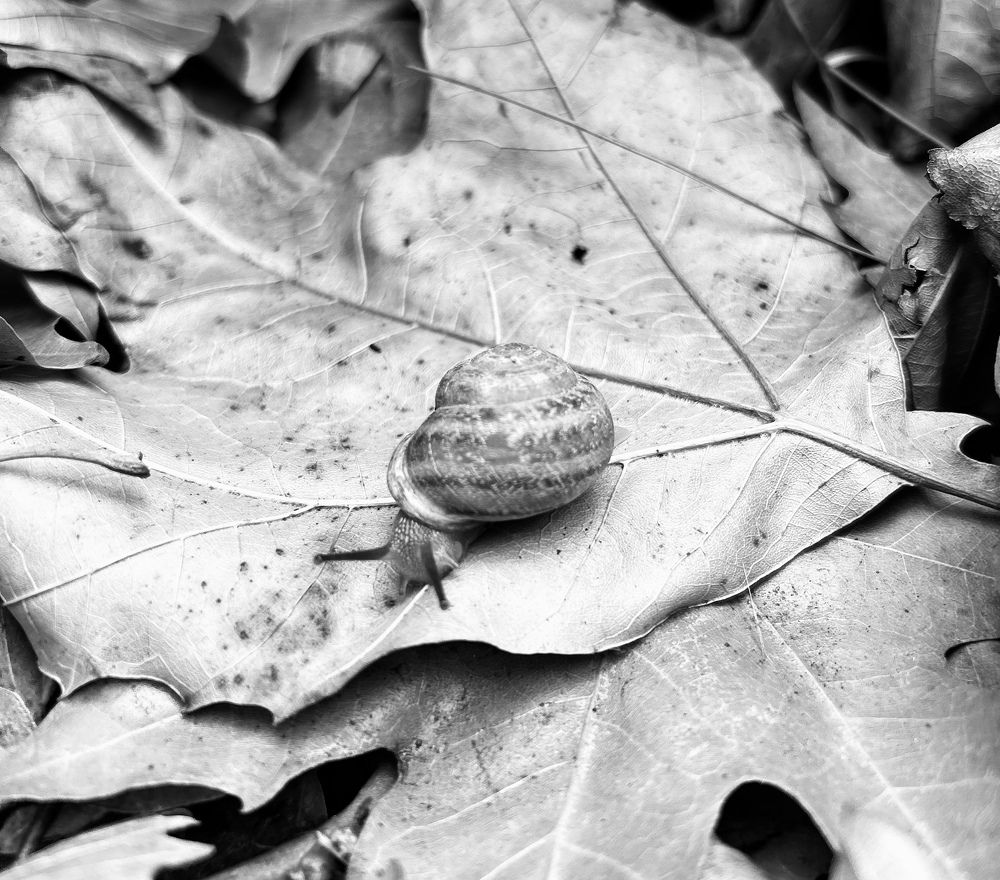 Photograph by Аруза