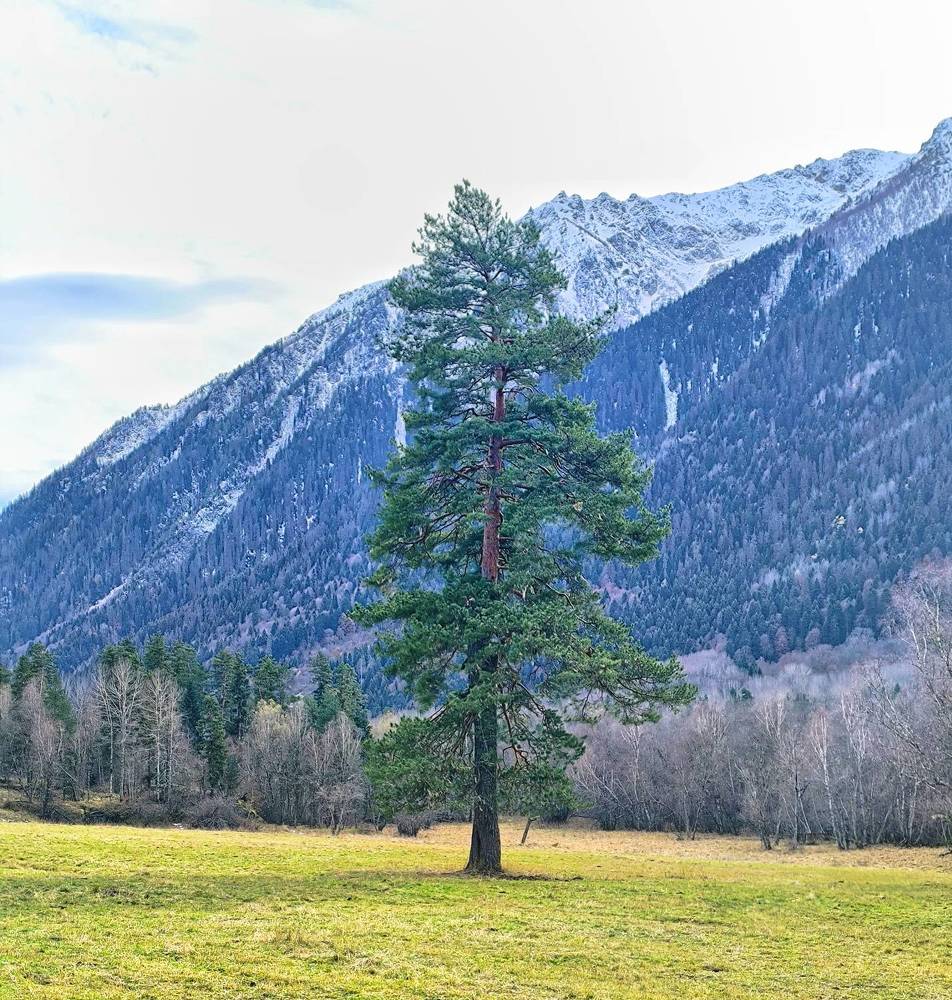 Photograph by Андрей Прокопенко