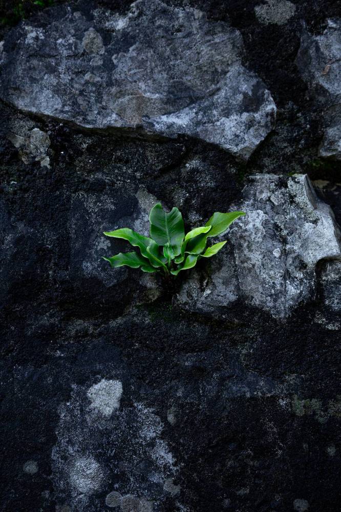 Photograph by София Серёжечкина