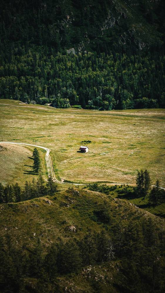 Photograph by Андрей Летов