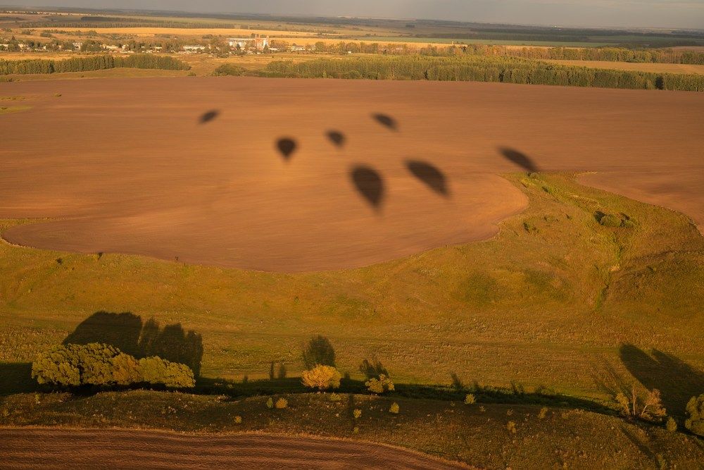 Photograph by Елена Орехова