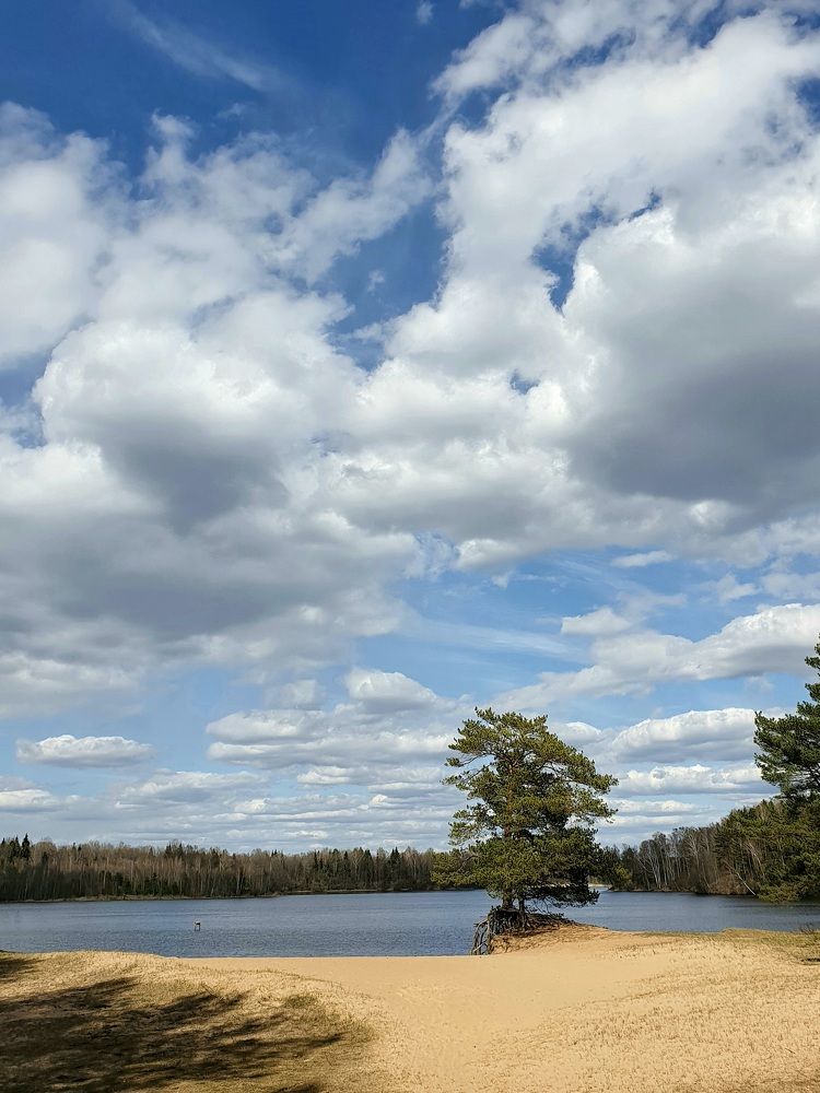 Фотография автора Ирина Дроздова