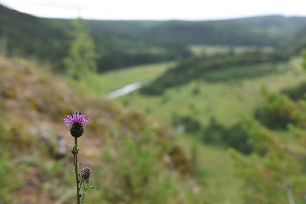 Photograph by Владислав Рубцов