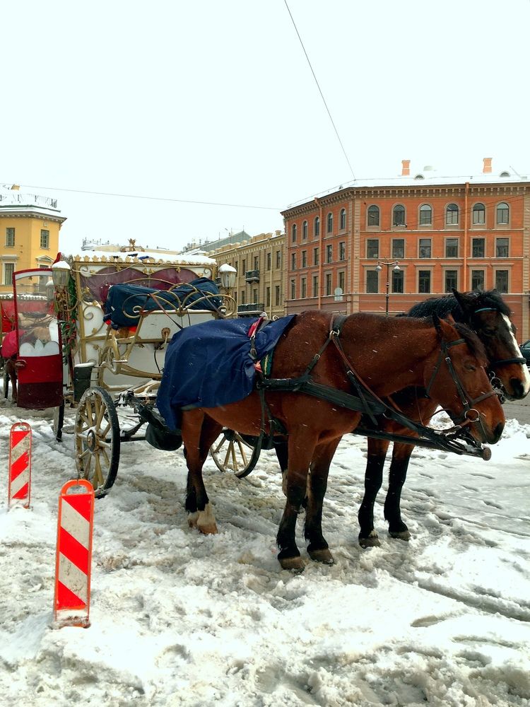Фотография автора Александр Сипаров