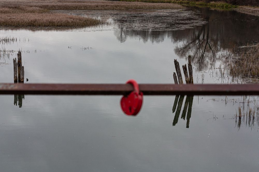 Photograph by Алла Логинова