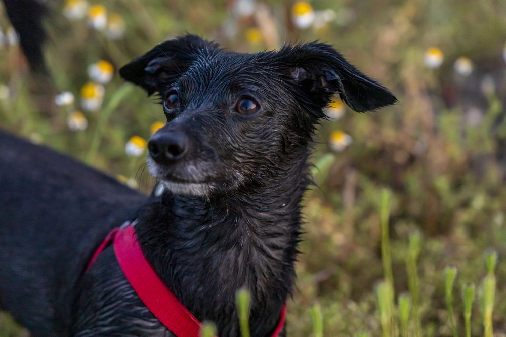 Photograph by Константин Чижов