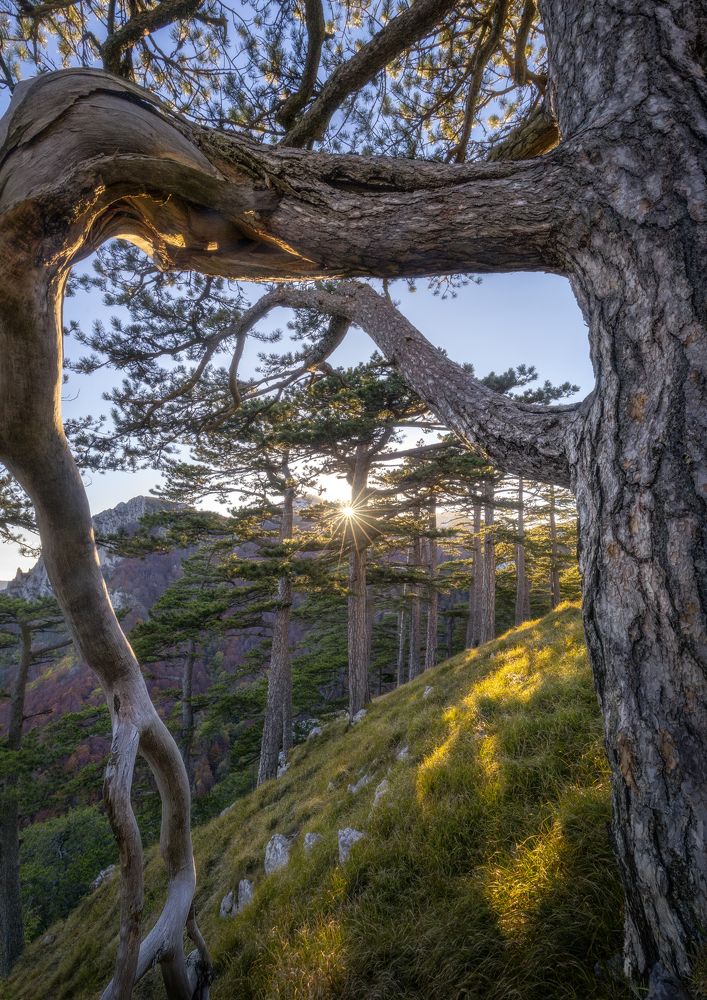 Photograph by Demir Pepic