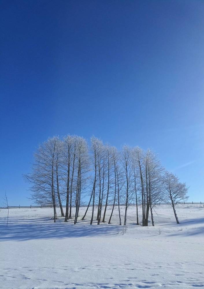 Фотография автора Роман Савин