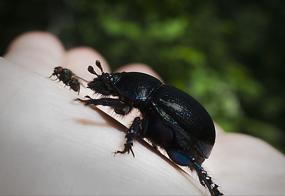 Photograph by Наталья Дроздова