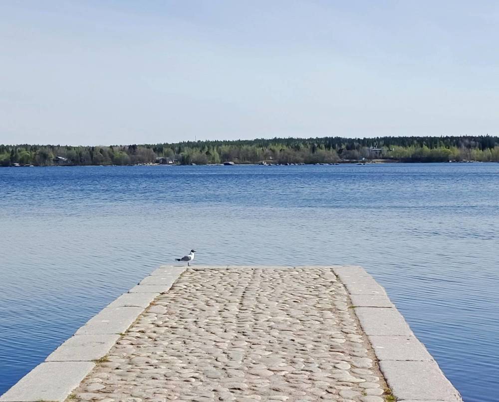 Photograph by Sergey Kurkov-Tarkovsky