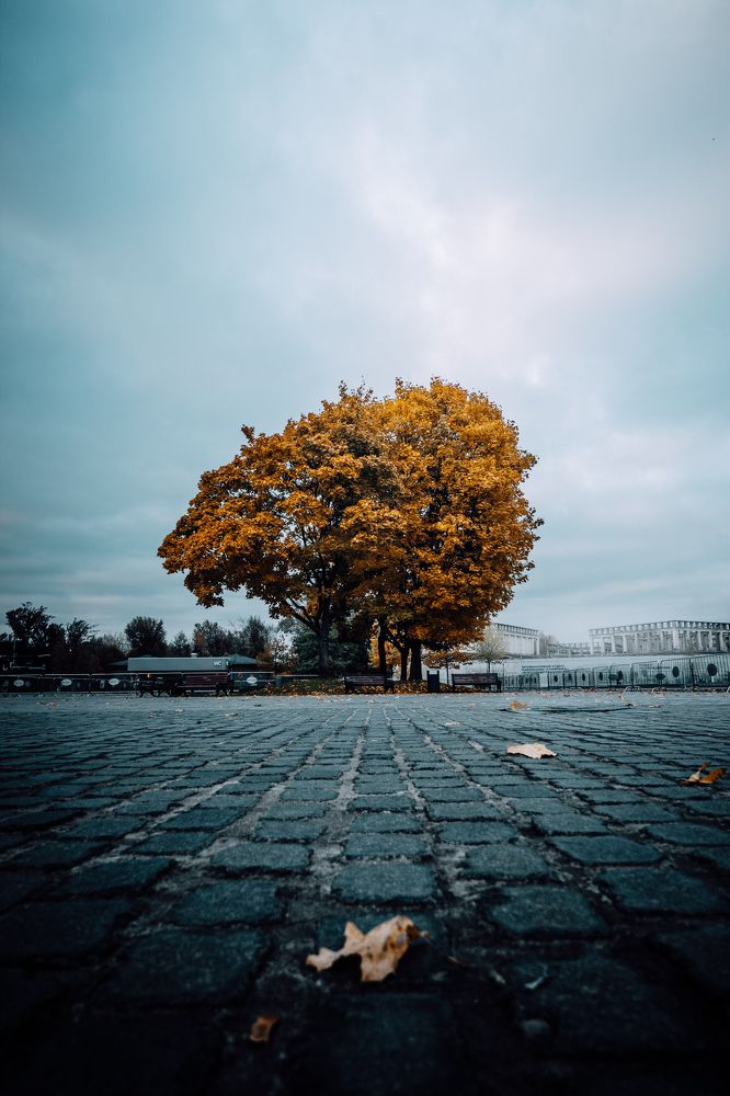 Photograph by Сергей Макаров