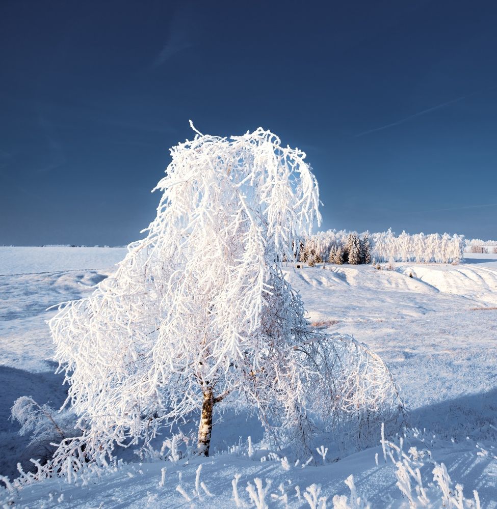 Фотография автора Константин Григорьев