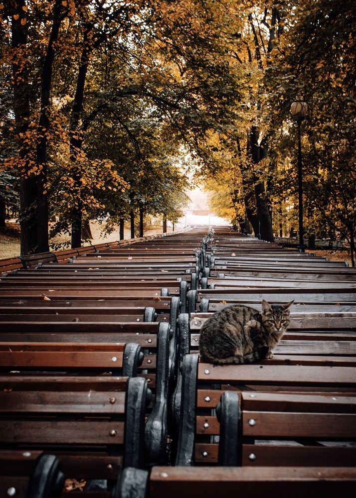 Photograph by Сергей Макаров