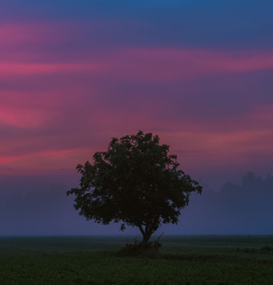 Фотография автора Константин Григорьев