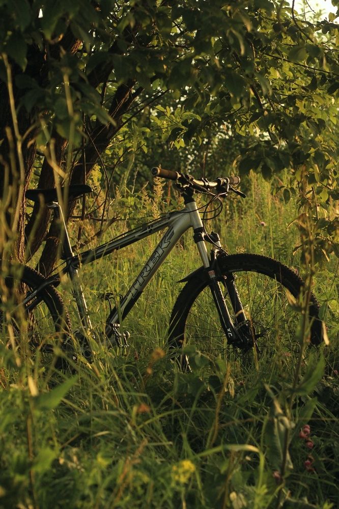 Photograph by Софья Белова