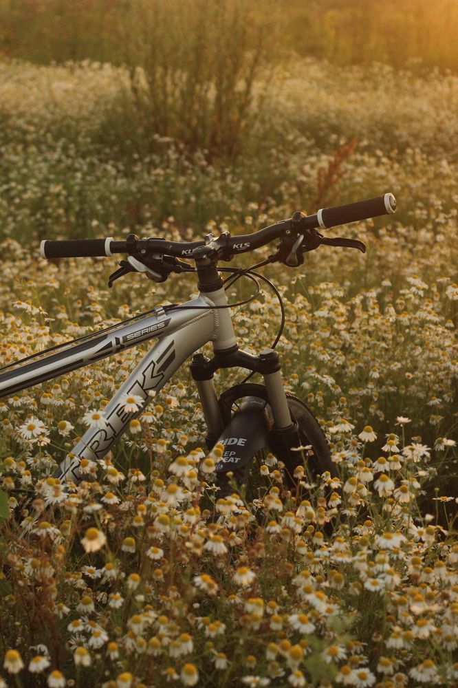 Photograph by Софья Белова