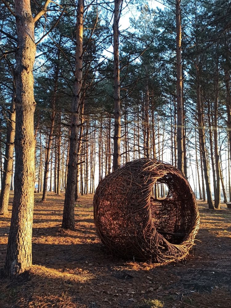 Фотография автора Юлия Сурина