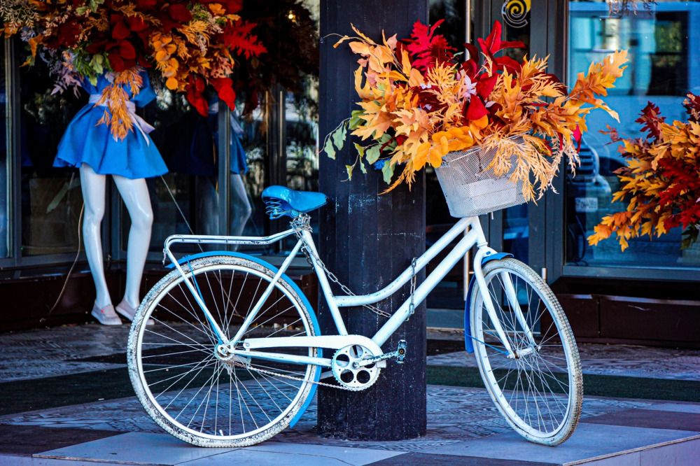 Photograph by Владимир Сушкин