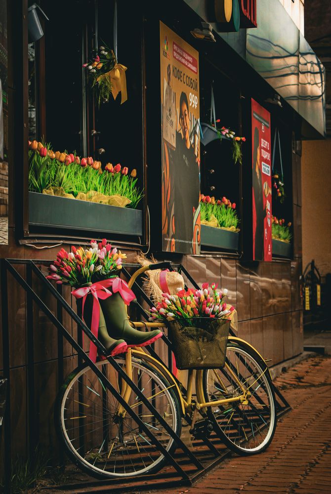 Photograph by Владимир Сушкин