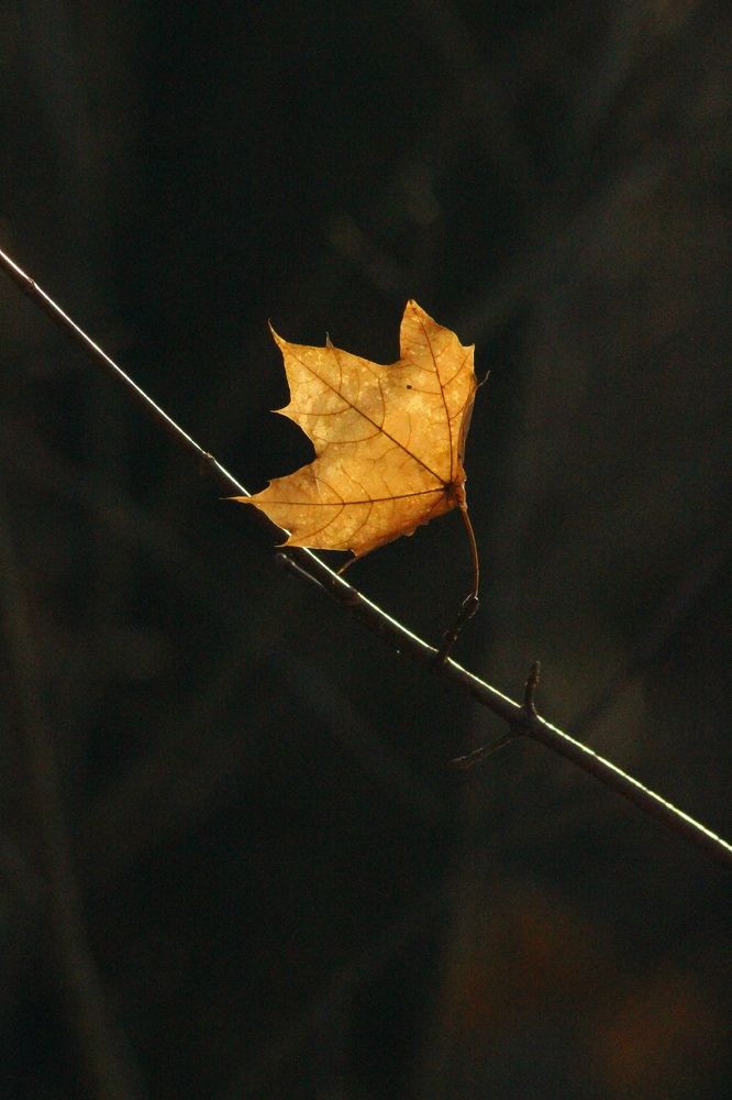 Photograph by Софья Белова